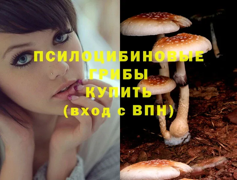 Галлюциногенные грибы Magic Shrooms  Островной 